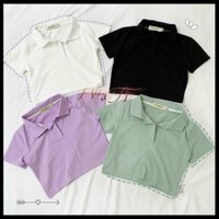 Áo Croptop Polo Basic Áo Croptop Có Nút Cổ Gập Freesize