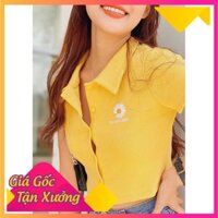 Áo Croptop Polo Mặc Thoáng Tôn Dáng Ôm Body Cực Xinh Cho các chị em Thêu Hoa Cúc| Áo Croptop CT15 | RẺ CỰC KÌ