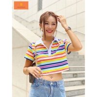 Áo Croptop Polo Striped siêu đẹp