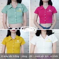 Áo Croptop Polo Thêu Hoa Cúc CT15