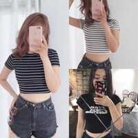 Áo croptop thun nữ ôm body tay ngắn