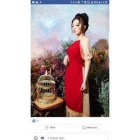 Áo dài cách tân chân váy màu be #aodai #aodaicachtan #đỏ #chanvay