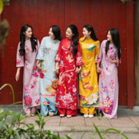 Áo dài cách tân Hà Cúc 5 màu cao cấp- Áo dài tết New collection 2025