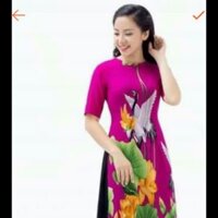 Áo dài cách tân ( thời trang Trường Hải