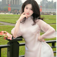 Áo Dài Cách Tân Tơ Óng May Sẵn Cổ Cao Tay Loe Nhẹ Nhàng Xinh Xắn Áo Dài Hiên Trần