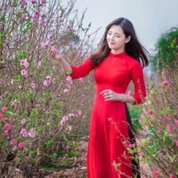 Áo dài may sẵn trơn lụa nhật mới 100%