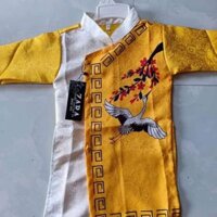 Áo dài ngọc trinh