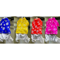 Áo dài truyền thống kèm quần cổ đôi dành cho Chó Mèo thú cưng- Áo dài mặc tết 2024