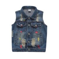 Áo gile bò vẩy sơn