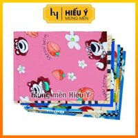 Áo gối thun lạnh 30x50cm, áo gối thun trẻ em 30x50cm, áo gối nhỏ | Mùng mền Hiếu Ý