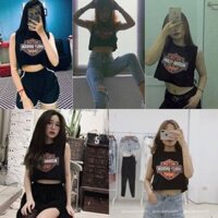 ÁO HALEY TANKTOP ( KÈM ẢNH THẬT)