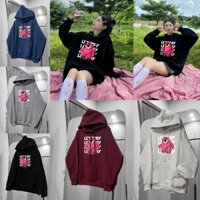 Áo Hoodie Nỉ Bông Lót Lông Heartware Form Rộng Nam Nữ Unisex Áo Khoác Nỉ Xám Tiêu Đỏ Mận In Gấu có bigsize đến 110kg