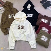 Áo hoodie nỉ nữ mùa đông form rộng thêu số 22 có mũ hàng Quảng Châu phong cách Hàn Quốc đẹp dày dặn ulzzang 236208