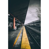 Áo kẻ sọc bốn chân