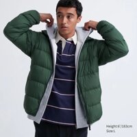 Áo Khoác Lông Vũ Uniqlo Chính hãng - Ultra Light Down Jacket - GREEN | JapanSport 459619-55