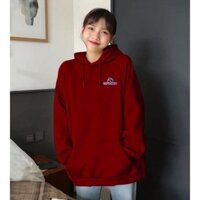 Áo Khoác Nỉ Hoodie Phản Quang Doremon Chong Chóng PQ18KN