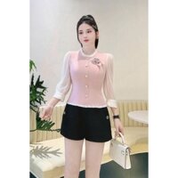 ÁO KIỂU CÔNG SỞ PHỐI VOAN G77 đủ size