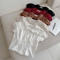 Áo kiểu nữ cổ sen phối nơ viền ren dáng ôm, áo thun ngắn tay cách điệu siêu xinh
