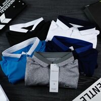 Áo lacoste phối sườn