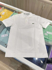 Áo Lacoste S, M
