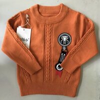 Áo len cho bé trai 6-14kg