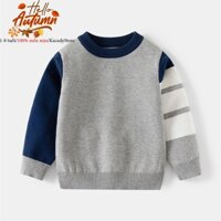 Áo len cho bé WELLKIDS áo len dài tay bé trai hoạ tiết ngộ nghĩnh hàng xuất Âu Mỹ 2024