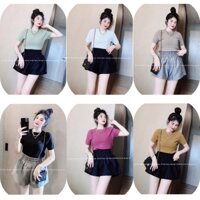 áo len mongtoghi tay ngắn