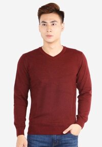 Áo len nam Cashmere 9990 M