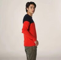 Áo len nam dài tay Đỏ Xanh cao cấp xuất khẩu