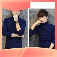 Áo Len Nam Màu Tìm Than Cổ Lọ Siêu Hot