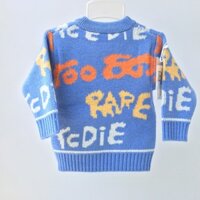 Áo Len Quảng Châu Cao Cấp Cho Bé Mặc Ấm (8-18kg)