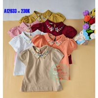 Áo linen cổ sen thêu hoa