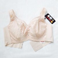 Áo lót Áo ngực big size đệm mỏng có gọng
