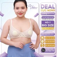 Áo lót Bigsize nữ - Áo ngực Big size- Bra cup lớn Gọng Dẻo, Đệm mỏng - Mã - A31