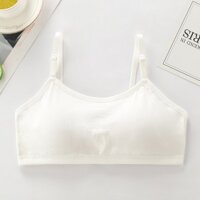 Áo lót nữ, áo lá học sinh cotton trơn mút liền cài sau 3 móc F004 - Trắng