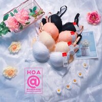 Áo lót ren siêu độn dày 5CM có gọng, đệm thông hơi, nâng gom ngực tạo khe quyến rũ