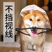 Áo mưa cho chó Bốn chân không thấm nước Bao gồm tất cả Teddy Pet Cat Đi chơi 3.7