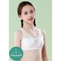 Áo ngực/ áo lót thể thao không gọng thoáng khí ( A35)  Bra áo lót - áo lá học sinh