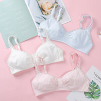 Áo ngực cho nữ sinh tuổi teen, màu sắc đơn giản, cotton mềm mại, áo ngực cho giai đoạn phát triển, chống va đập cho ngực nhỏ