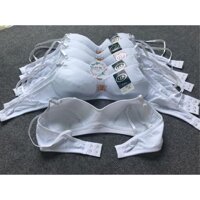 Áo ngực học sinh - Size 34