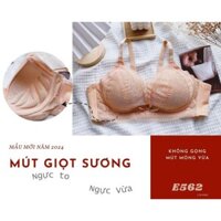 Áo ngực mút dày form lớn mút xốp mềm mại, nâng đỡ tối đa, thoải mái suốt ngày dài E562 | ĐỒ LÓT 12H