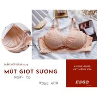 Áo ngực mút dày form lớn mút xốp mềm mại, E562, Đồ lót 12h