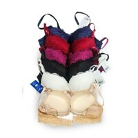 ÁO NGỰC REN SIÊU ĐẨY CÀI SAU 029HW