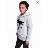 Áo nỉ chui đầu HM