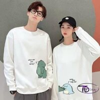 ÁO NỈ MÙA ĐÔNG, ÁO CẶP KHỦNG LONG SIÊU ĐẸP