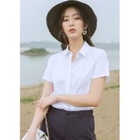 Áo nữ cộc tay cổ tàu chất đẹp