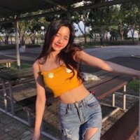 ÁO NỮ CROPTOP THÊU HOA CÚC HÀNG CHUẨN ĐẸP NHIỀU MÀU CT05