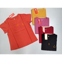 áo nữ thêu trung niên cho các cô các bác