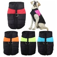 Áo phao cho thú cưng mùa đông, Áo ấm cho chó mèo