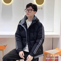 Áo phao nam đại hàn 2024 QCCC